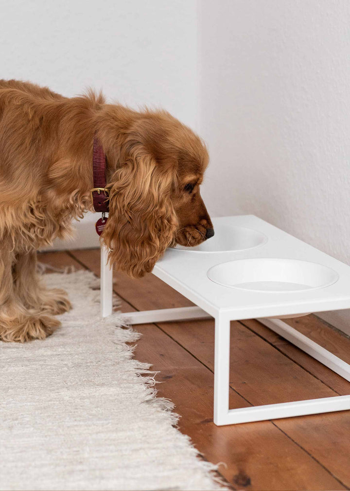 Kopi af Foderstation til hund - Mika