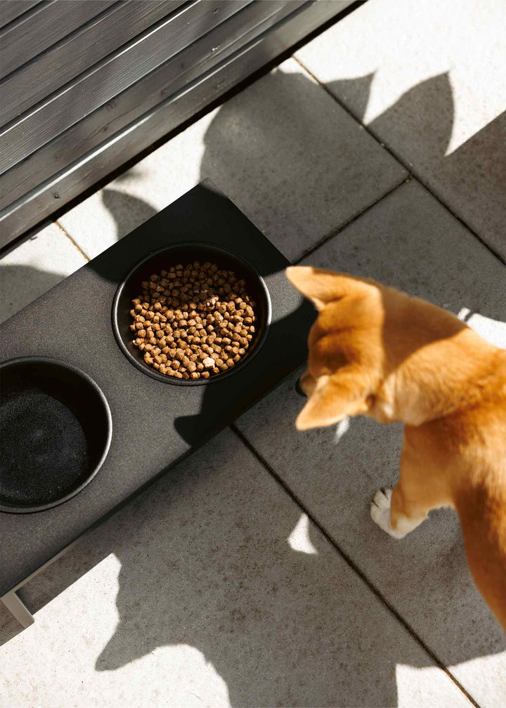 Kopi af Foderstation til hund - Mika